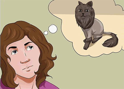 стрижки кошек